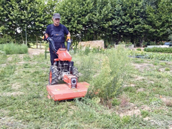 umkehrbarer einachsschlepper loncin benzinmotor