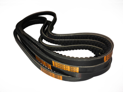 5 belts pantera