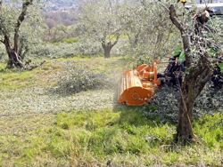 adjustable sideshift mower for tractors shredder mulcher mod gepard 170