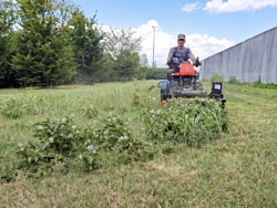 reversible two wheel tractor with tiller kama