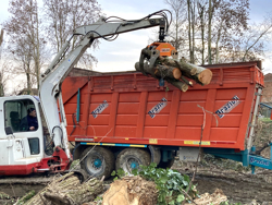 grappin à bois pour pelles et grues capacité 2000kg mod dk 16