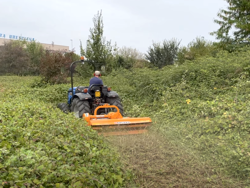 broyeur à marteaux fixe leopard 160 pour prairie ronces et sarments