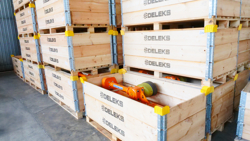 broyeur d accotement polyvalent à marteaux modèle volpe 140