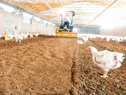 fres for blanding av fjærkre underlag pavo 160