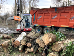 tømmerklo med fast pendulerende rotor for minigravere og skogskraner dk 16 gr 30f