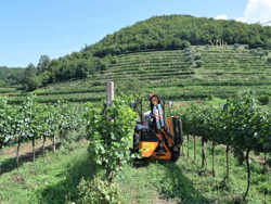 concasor cu brat montat pentru tractor cu lame mod airone 100