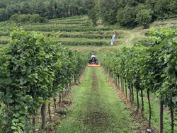 concasor pentru tractor cu roți sau pe șenile pentru iarbă și ramuri tăiere utilă 164cm cu ciocane mod lince 165