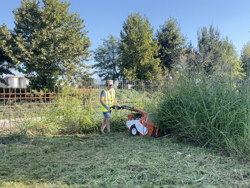 tocatoare iarba smart 800