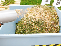 tocator lemn cu tambur si motor independent pentru producția de aschii de lemn mod dk 800 lf