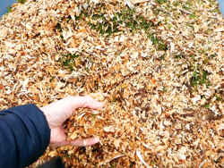 tocator lemn cu tambur si motor independent pentru producția de aschii de lemn mod dk 800 lf