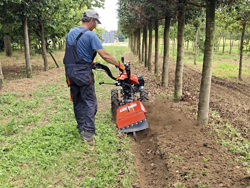 plug rotativ pentru motocultor