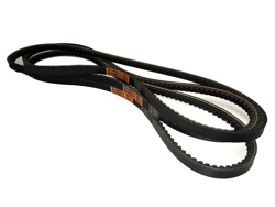 3 ремня lince volpe