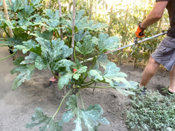 Универсальная фреза для мотокосы 4 лезвии