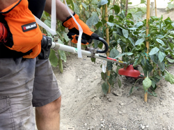 Универсальная фреза для мотокосы 4 лезвии